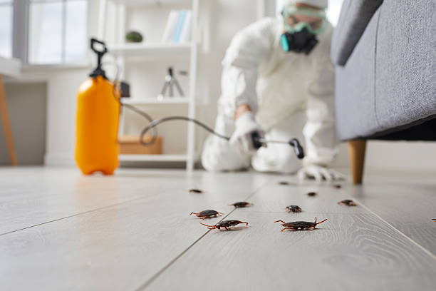Commercial Kitchen Cockroach Control in Port Clinton